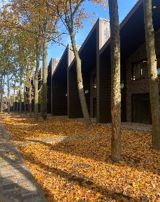 Таунхаусы «Форест Парк Гора»