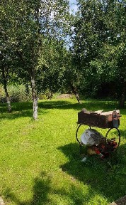 Київ, Центральна Садова вул.