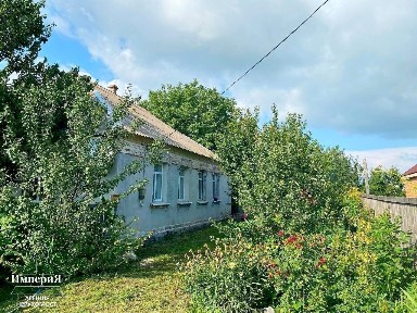 Киевская обл., Ракитнянский район, с. Ольшаница