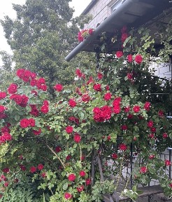 Киев, Русановская наб.