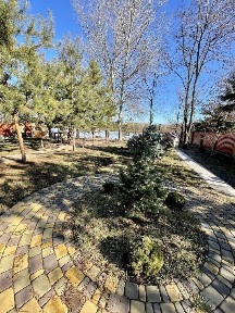 Аренда дома 270 м², Золочевская ул.