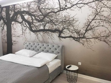 Вінницька область, Вінниця