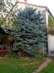 Сдам Дом на Осокорках. Сауна. Камин. Гараж. -1 км. от метро. Генератор.