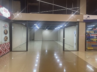 Київська область, Київ, Голосіївський