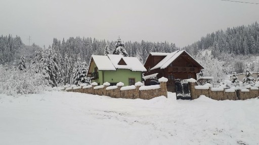 Здаємо будинок в Карпатах.