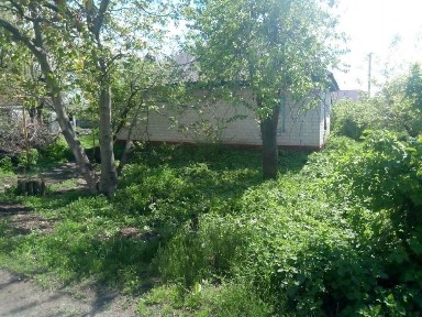 Продається будинок в центрі смт. Чорнобай