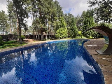 с. Процев. Усадьба 60 соток. Дом 300 кв. Бассейн. Аренда на лето.