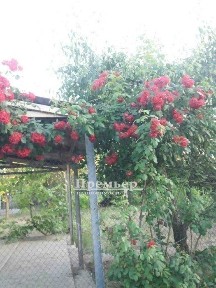 Одеська область, Сухий Лиман