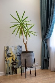 Миколаївська область, Миколаїв, Центральний