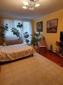 Закарпатська область, Ужгород