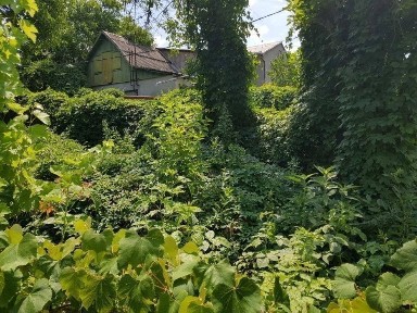 Одеська область, Одеса, Київський