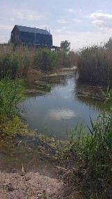 Одеська область, Біляївка