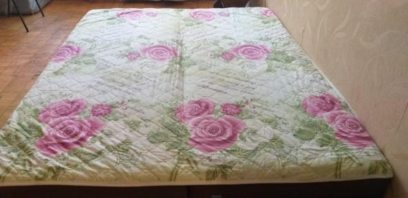 Київська область, Київ, Дарницький