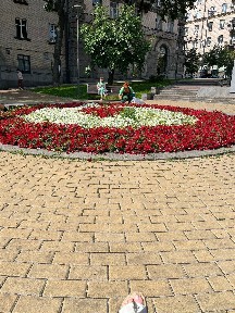 Аренда дома 64 м², Валерия Лобановского просп.