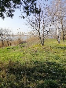 Дніпропетровська область, Олександрівка