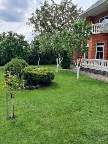 Киев, Орхидейная ул.