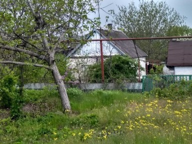 Дом 35 м2, гараж 25 м2, земля - 12 соток. 