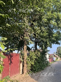 Довгострокова аренда сучасного будинку в селі Гнідин від власника