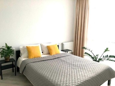 Київська область, Київ, Голосіївський