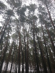 Аренда дома 80 м², 120-я Садовая ул., 20