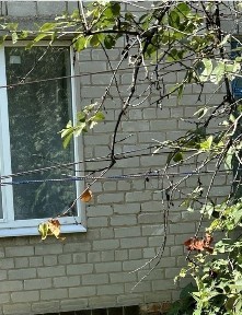 Продам двухкімнатну квартиру