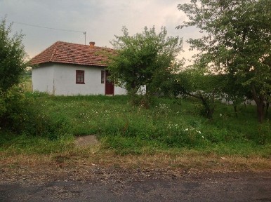 Ділянка з будинком в с. Коршів.