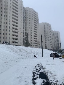 ЖК <a href='/newbuilding/7084/view/zk-sokolniki'>Сокольники</a> 1/16, продам нежилое помещение 67м