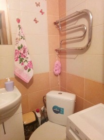 Продажа 1-комнатной квартиры 26 м², Луки Долинского ул., 107