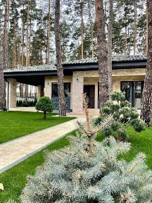 Київська область, Буча