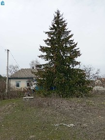 с. Проців. Продаж будинку 62м. кв. газ, світло. Ділянка 25 сот.