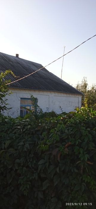 Продам дом в Звенигородке