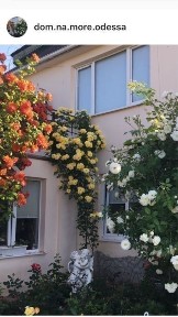 Одеса, Київський, Шкиперская 201