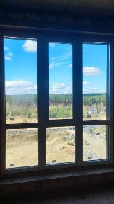 Квартира з документами з видом на ліс