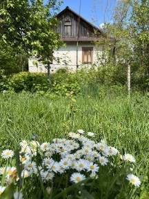 Будинок в селі Острів поруч сосновий ліс та річка