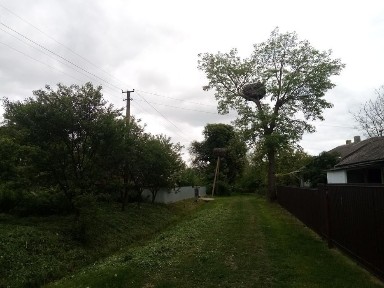 Продається будинок дачного типу в сТерновиця