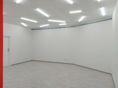 Київська область, Київ, Голосіївський