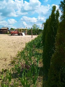 Продажа участка для личного сельского хозяйства 10 соток