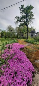 Дніпропетровська область, Дніпро, Амур-Нижньодніпровський