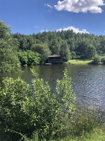 Оренда Будинків / котедж подобово, Львів сауна, баня