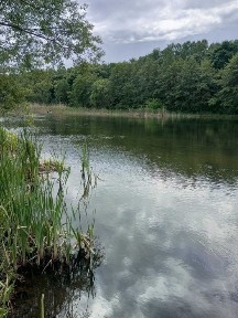 Харківська область, Чугуїв