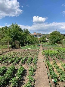 Донецька область, Слов'янськ
