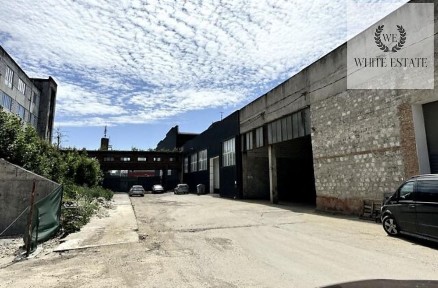 Тернопільська область, Тернопіль