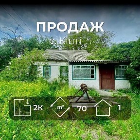 с. Кіпті, Будинок 69м2 з гаражем та земельною ділянкою 25 сот. VS