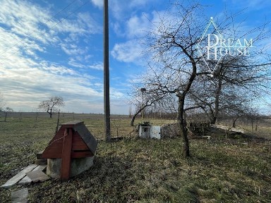 Продаж будинку і земельних ділянок