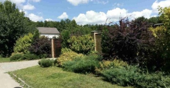 Харківська область, Харків, Шевченківський