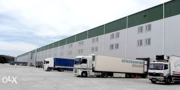 Київська область, Щасливе