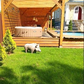 Киев, Харьковское шоссе, 177/1