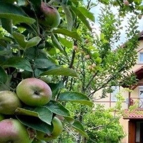 Киев, Дамбовая ул.