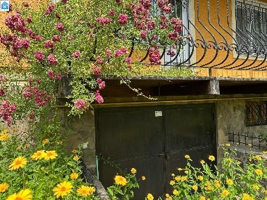 Киевская обл., Броварской район, с. Княжичи, Ялынка, Садова 8