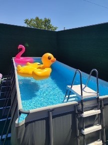 Харківська область, Харків, Київський